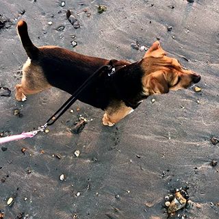 Sharon Chadwick's avatar