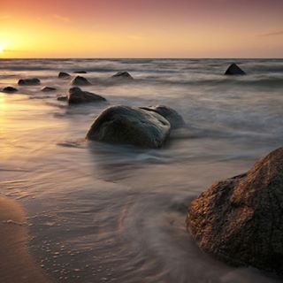 Jane Bullard's avatar