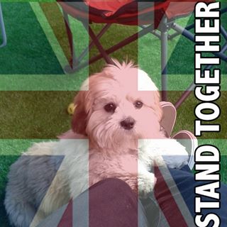 Krishnan Moodley's avatar