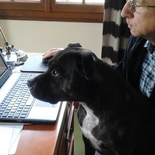 Robert Budd's avatar