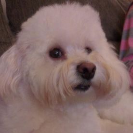 Harvey Johnson's avatar