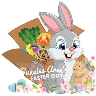 Mark Hunter's avatar