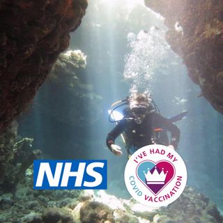 Paul Newman's avatar