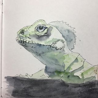 Lara Leggatt's avatar