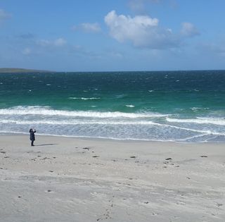 Louise Macleod's avatar