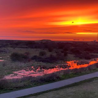 Michaela Headford's avatar