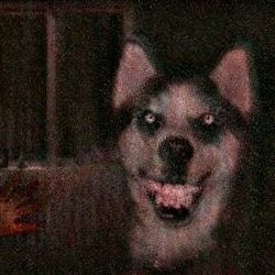 Mick Prudence's avatar