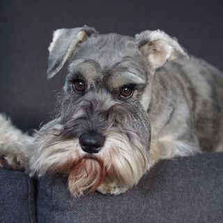 Evie Palmer-Jones's avatar