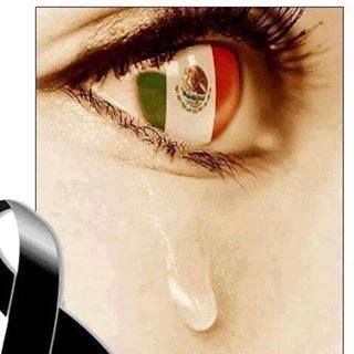 Mir Vaz Rey's avatar