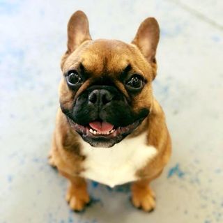 Jessica Grafton's avatar