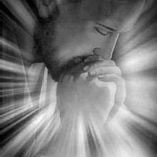 Sonia Tonks's avatar