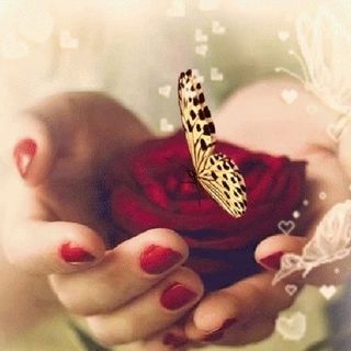 Suzanne Pearson's avatar