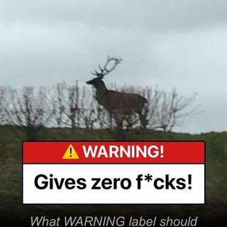 Richard Harwood's avatar