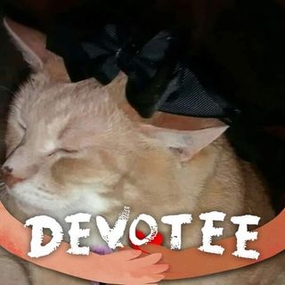 Julie Mackie's avatar