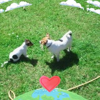 Malcolm Bull's avatar