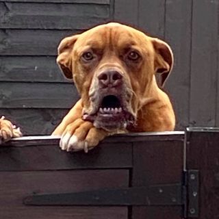 Graham Brummitt's avatar