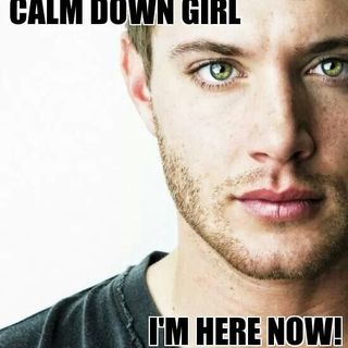 Donna Toner's avatar