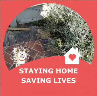 Lynne Hunter's avatar