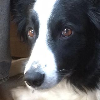 Yvonne Langley's avatar