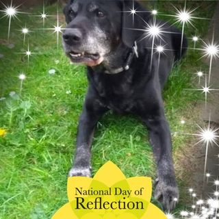 Teresa Parris's avatar