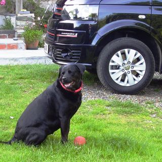 Morris Millward's avatar