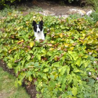 Brenda Warrington's avatar