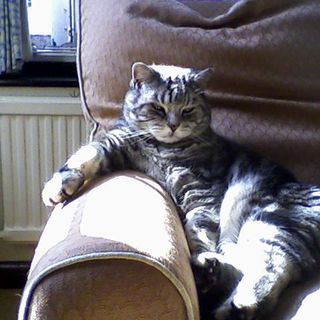 Stephen Malme's avatar