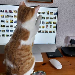 Eve Pilkington's avatar