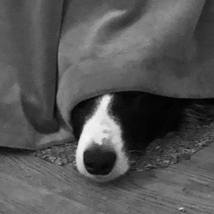 Michael Johnson's avatar