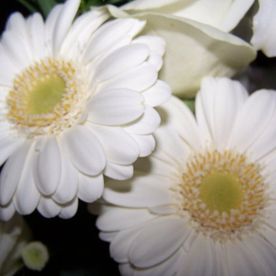 Michelle Clee's avatar