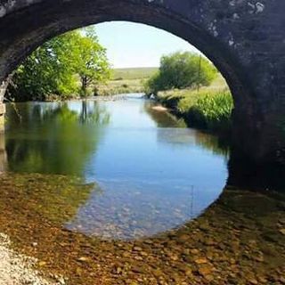 Penelope Ebsary's avatar