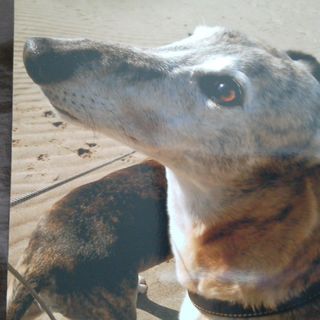 Mike Andrew's avatar