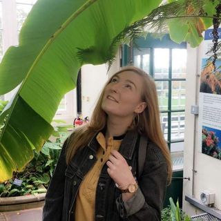 Olivia Cox's avatar