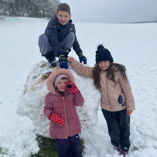 Denise Murphy's avatar