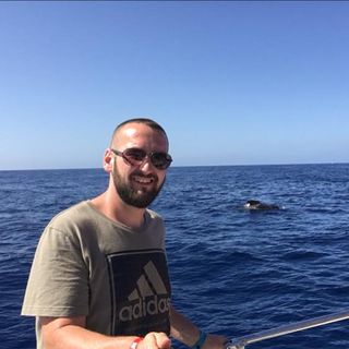 Paul Taylor's avatar