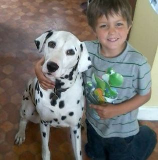 Emma Louise Arthur's avatar