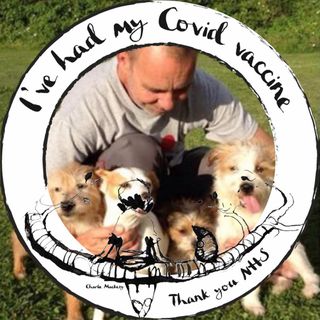 Jennie Handscomb's avatar