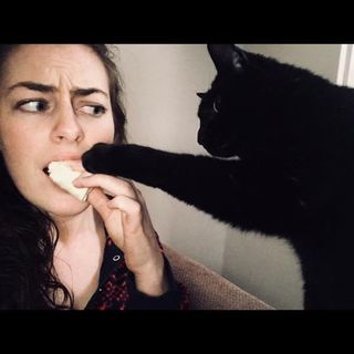 Steph Dolan's avatar
