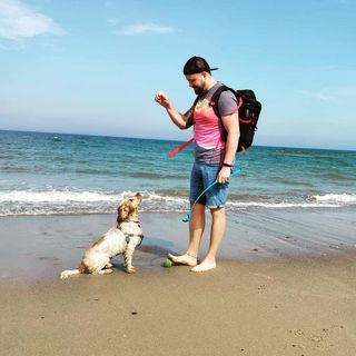 Maciek Grzybek's avatar