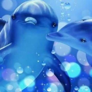 Ana Cristina Varela Campos's avatar