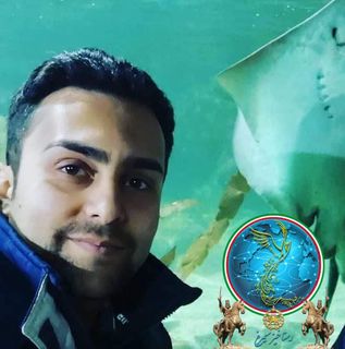 Reza Ghabel's avatar
