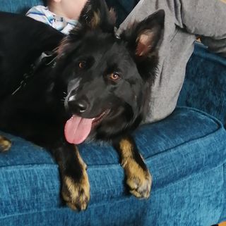 Sue Sewards's avatar