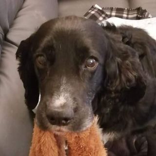 Vivienne Ainslie's avatar