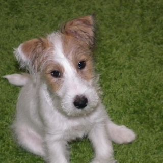 Barbara Shiels's avatar