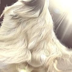 Yourold Guest's avatar