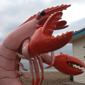 Colin C. Moyer's avatar