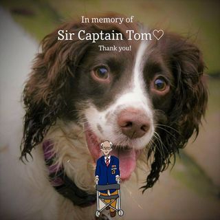 Steve Hepworth's avatar