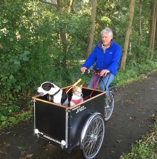 Dirk van Dijl's avatar