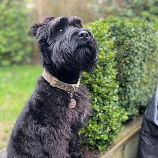 Paul Stevenson's avatar