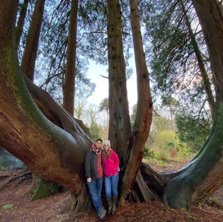 Helio Flores's avatar